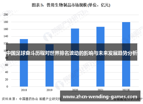 中国足球奋斗历程对世界排名波动的影响与未来发展趋势分析